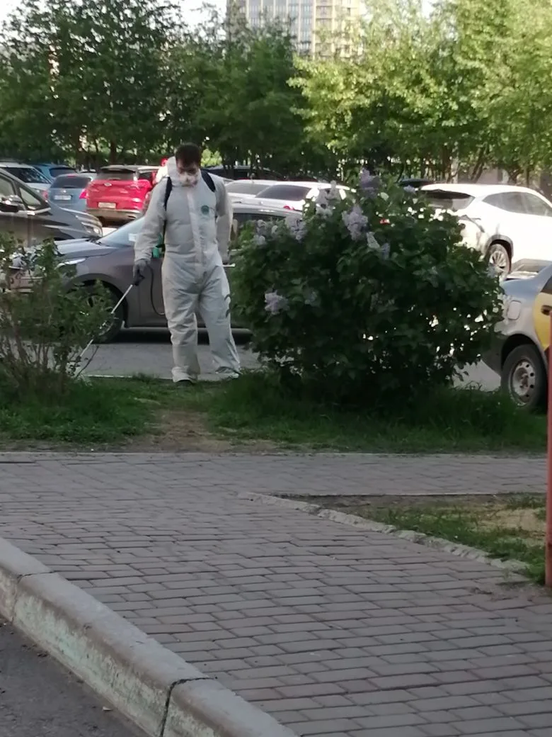 По согласованию с жителями проходит аккарицидная обработка придомовых территорий изображение 1