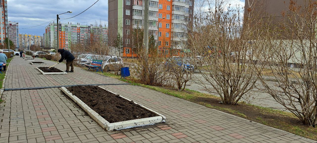 Посеяли цветы для украшения Покровки