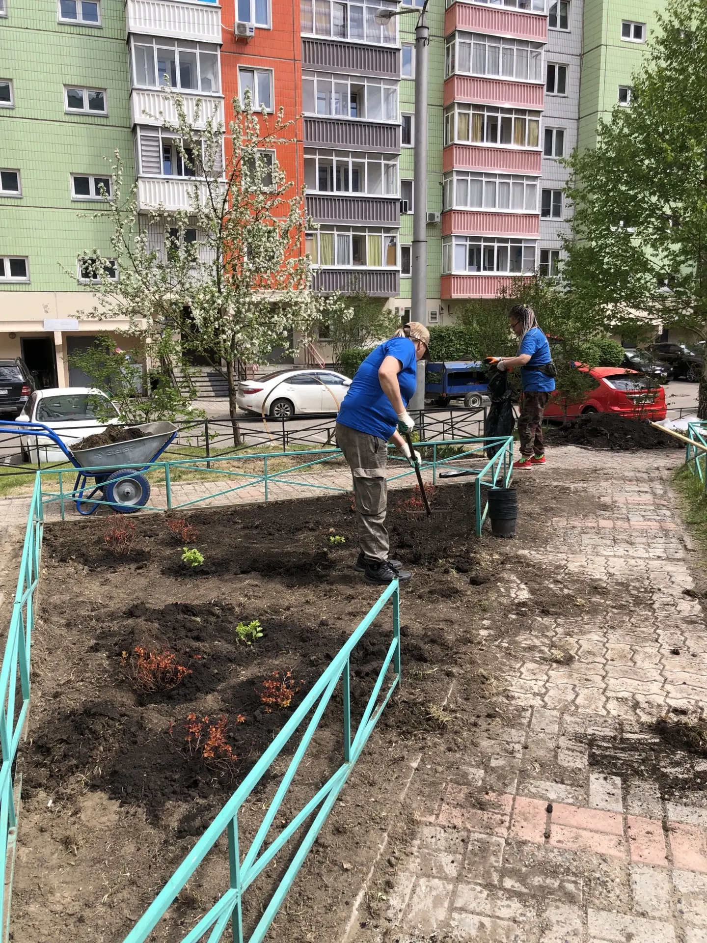 Процесс работы по озеленению ул. Чернышевского, 71 изображение 1