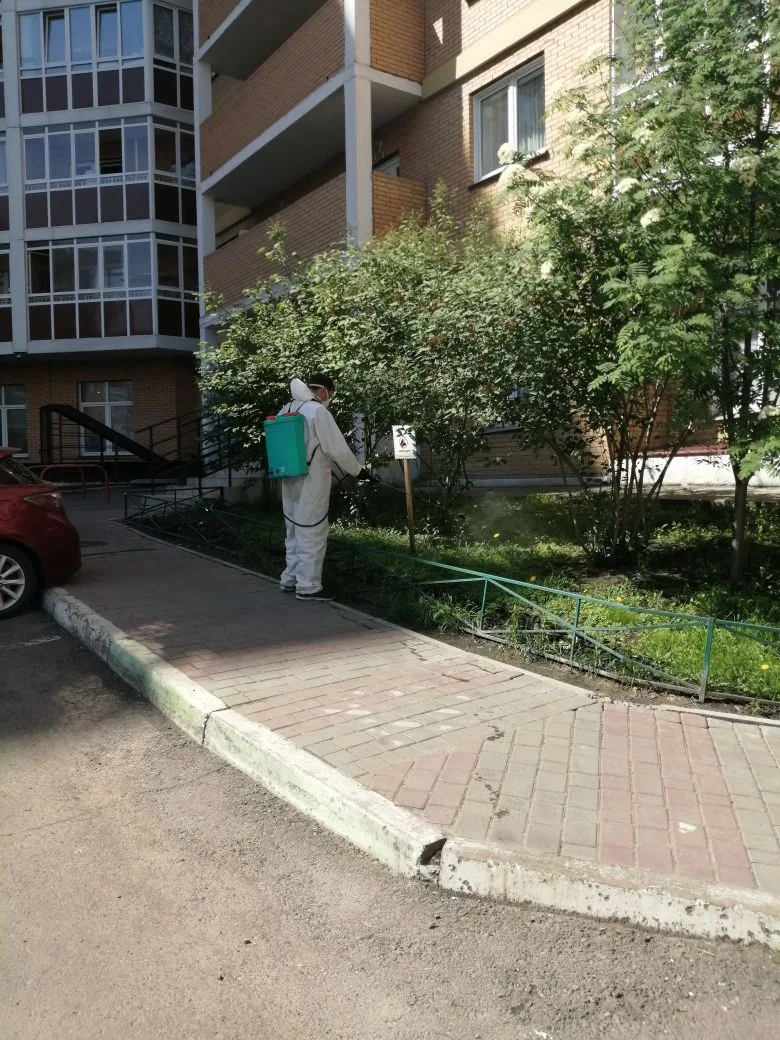 По согласованию с жителями проходит аккарицидная обработка придомовых территорий изображение 1