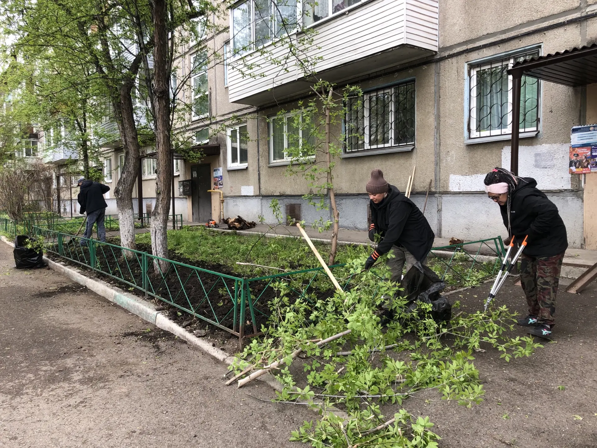 Уход за многолетниками и посев газона. изображение 1