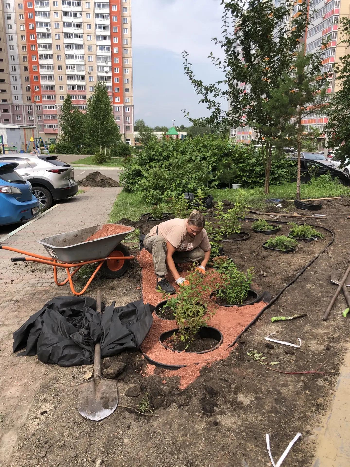 Благоустройство по ул. Чернышевского, 120 изображение 1