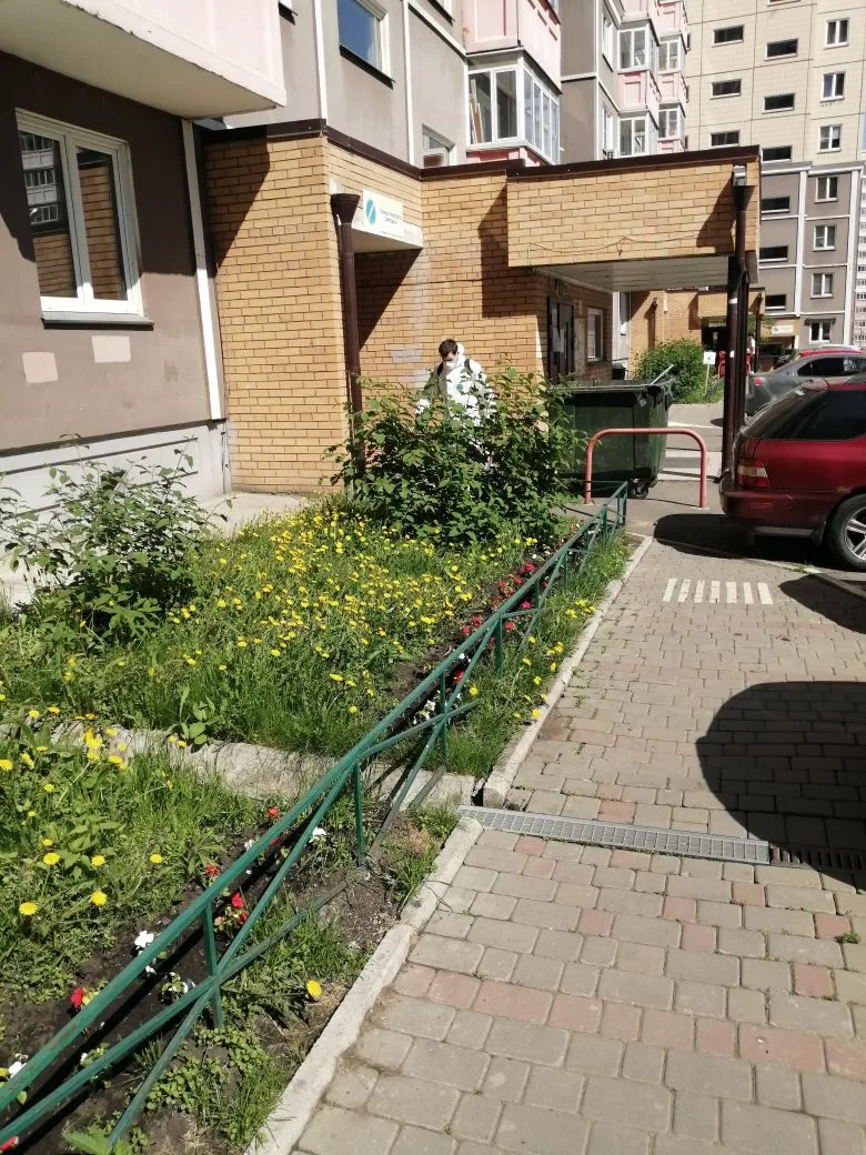 По согласованию с жителями проходит аккарицидная обработка придомовых территорий изображение 1
