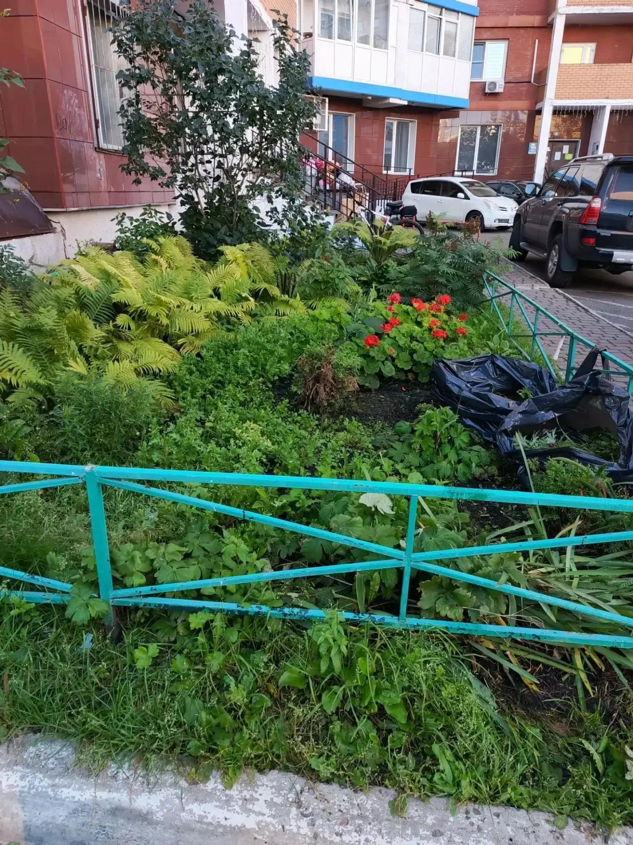 Мужества 16 прополка многолетников изображение 1
