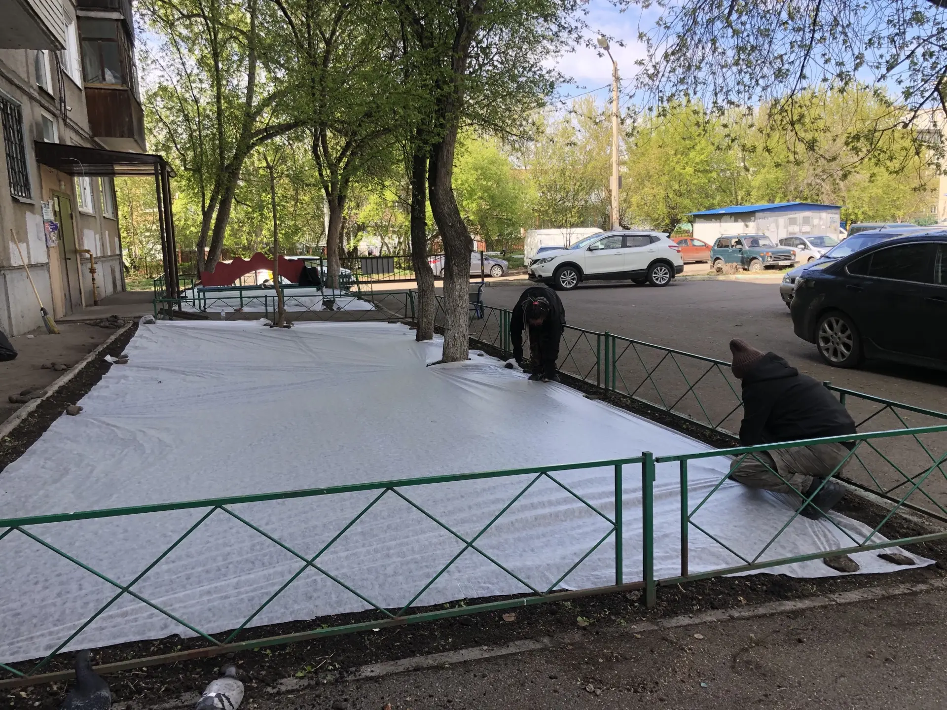 Уход за многолетниками и посев газона. изображение 1