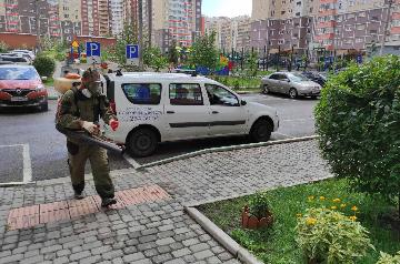 Дезинсекция по графику Дезинсекция по графику