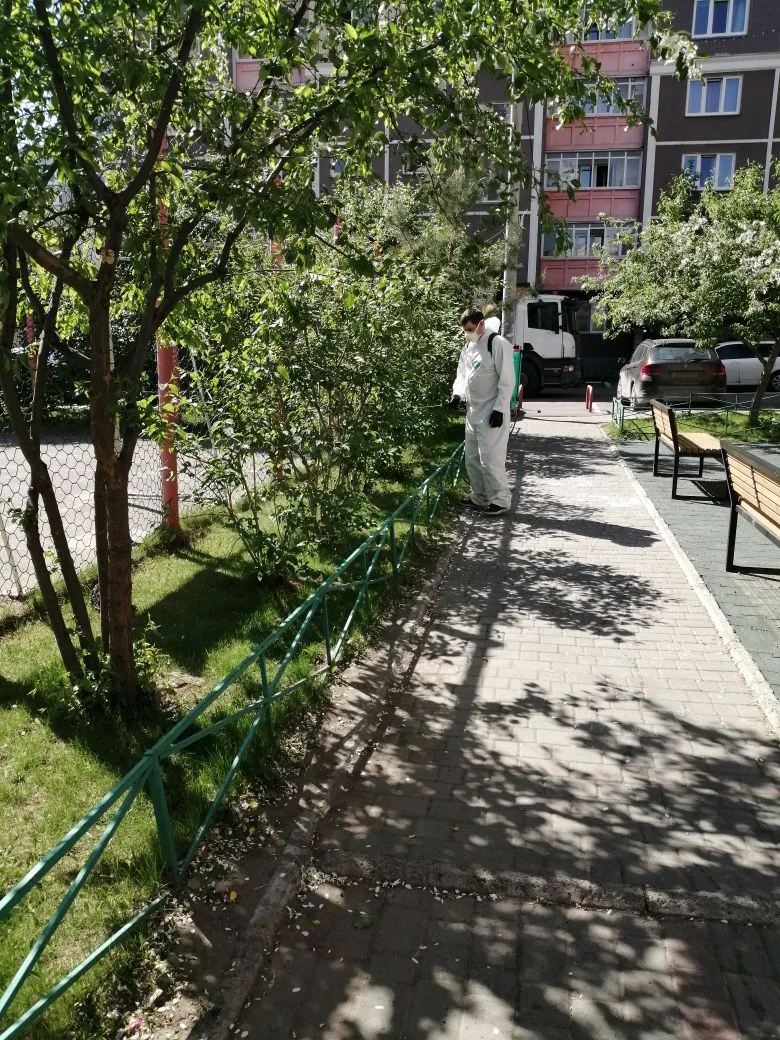 По согласованию с жителями проходит аккарицидная обработка придомовых территорий изображение 1