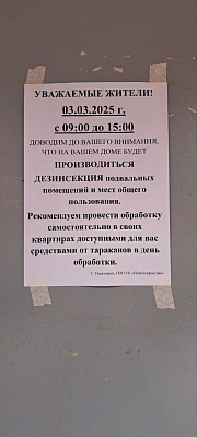 Обработка от насекомых ведется круглогодично