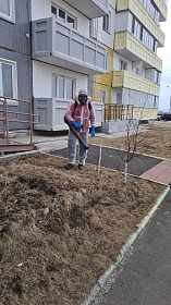 Обработка от клещей началась во дворах домов Обработка от клещей началась во дворах домов