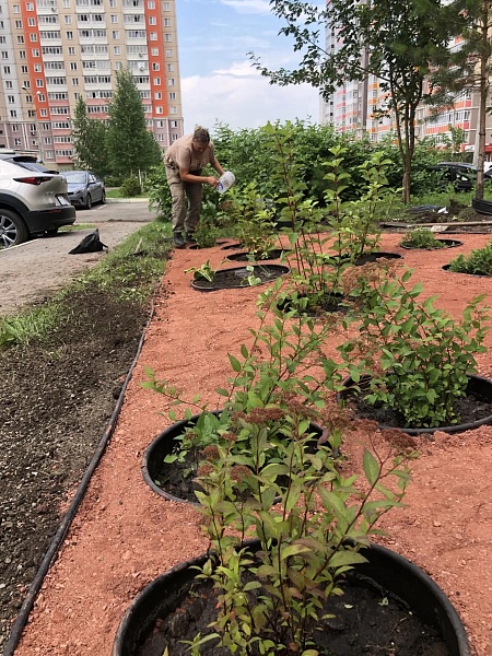 Благоустройство по ул. Чернышевского, 120