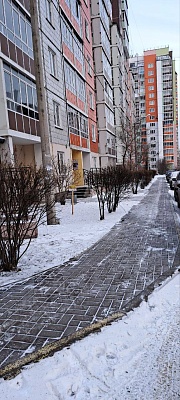 Наши тротуары – чистые и безопасные изображение 1