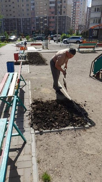 Газонная посевная во дворах Газонная посевная во дворах